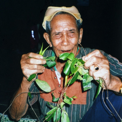 Nguồn gốc bài thuốc bí truyền amakong